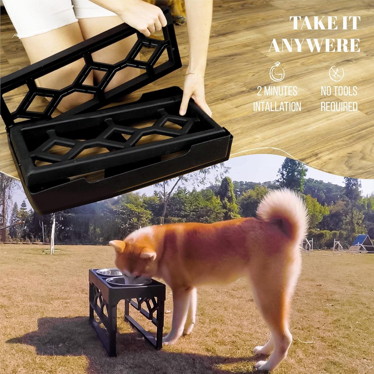 Elevated Dog Bowls, Adjustable Stand for Medium and Large Dogs