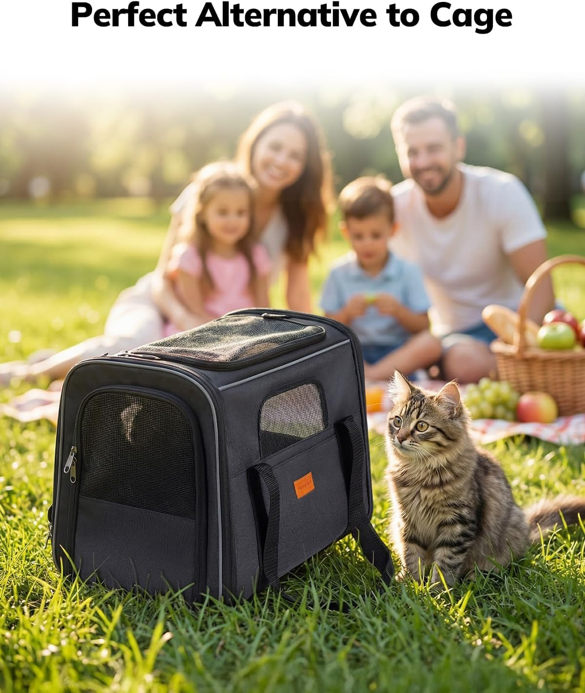 Cat Carrier - Cat Carrier Soft for Medium or Large Cats up to 20Lbs, with Dual-Sided Cushion, Secure Buckle and Foldable Bowl, Dog Carriers for Small Dogs - Pet Carrier (Dark Gray) | with Dual-Sided Cushion, Secure Buckle and Foldable Bowl, Dog Carriers for Small Dogs - Pet Carrier (Dark Gray)