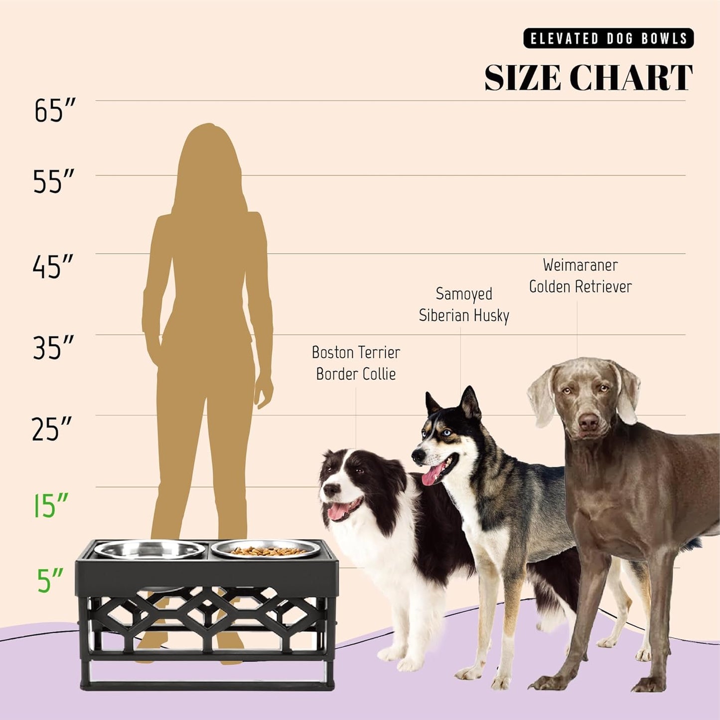Elevated Dog Bowls, Adjustable Stand for Medium and Large Dogs