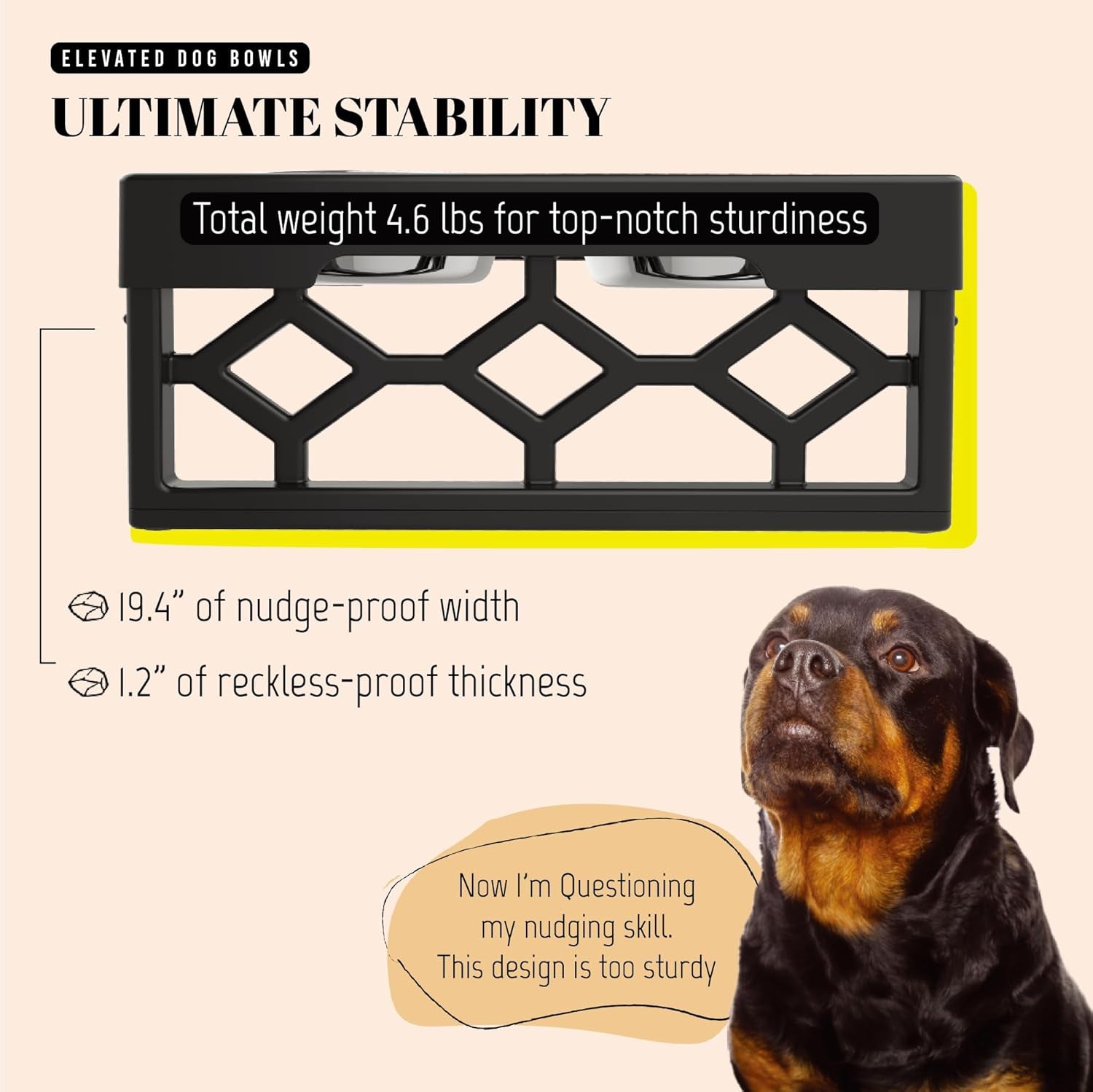Elevated Dog Bowls, Adjustable Stand for Medium and Large Dogs